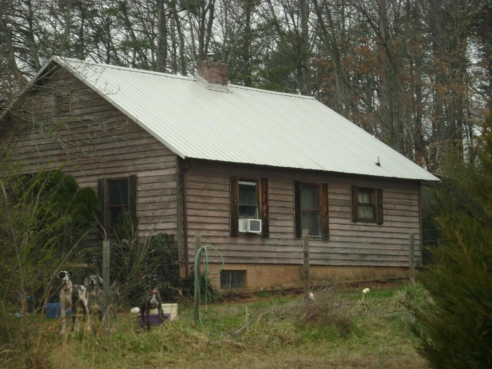 White metal roof on an old wood sided farmhouse, from a Metal Roof Installation job in Everson